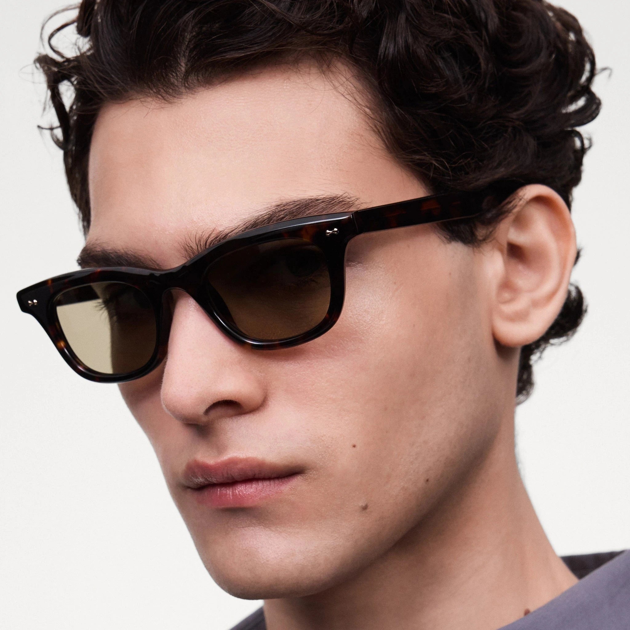 Chimi | Ease Tortoise Chimi 