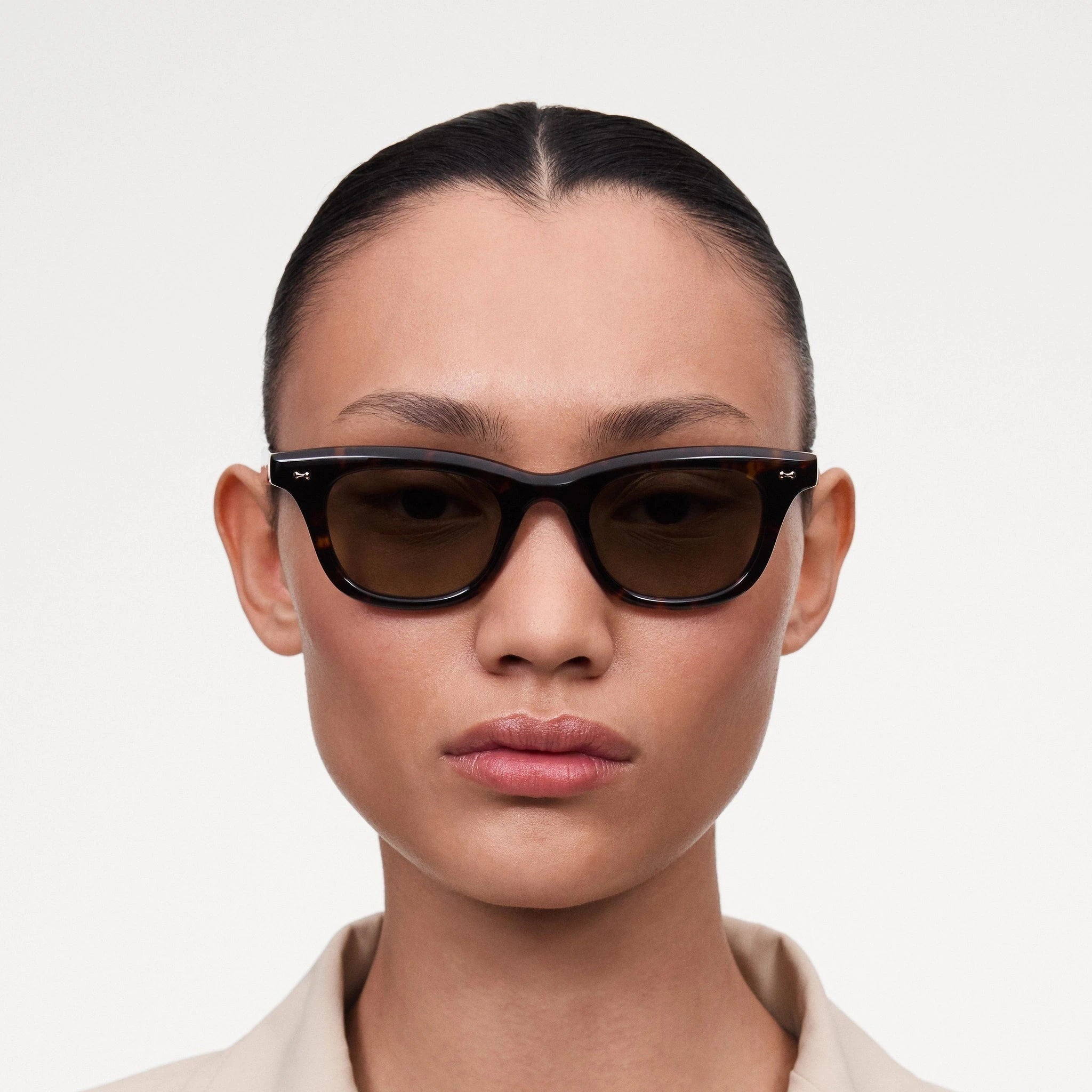 Chimi | Ease Tortoise Chimi 