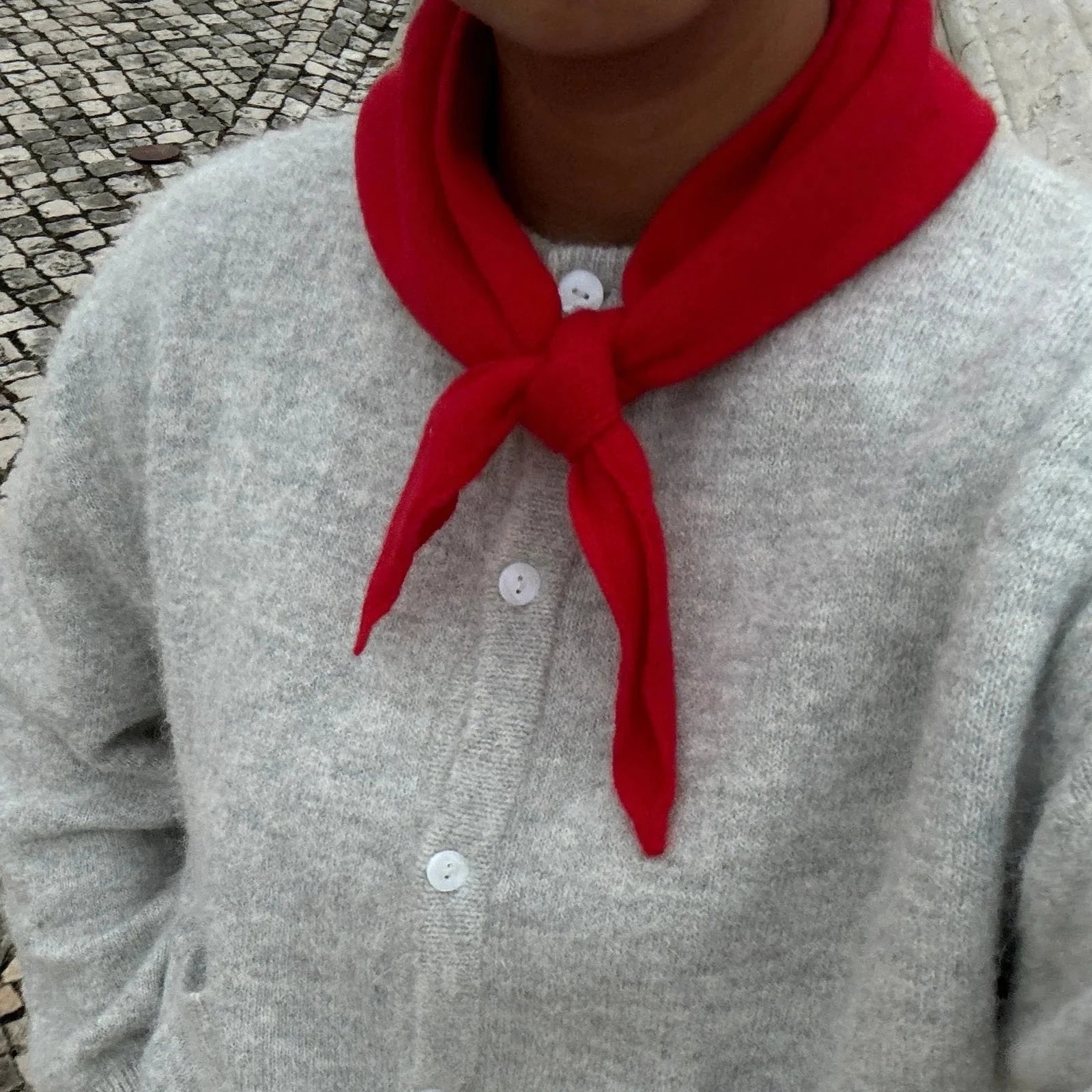 Le Bon Shoppe | Cashmere Bandana Bristol General Store 