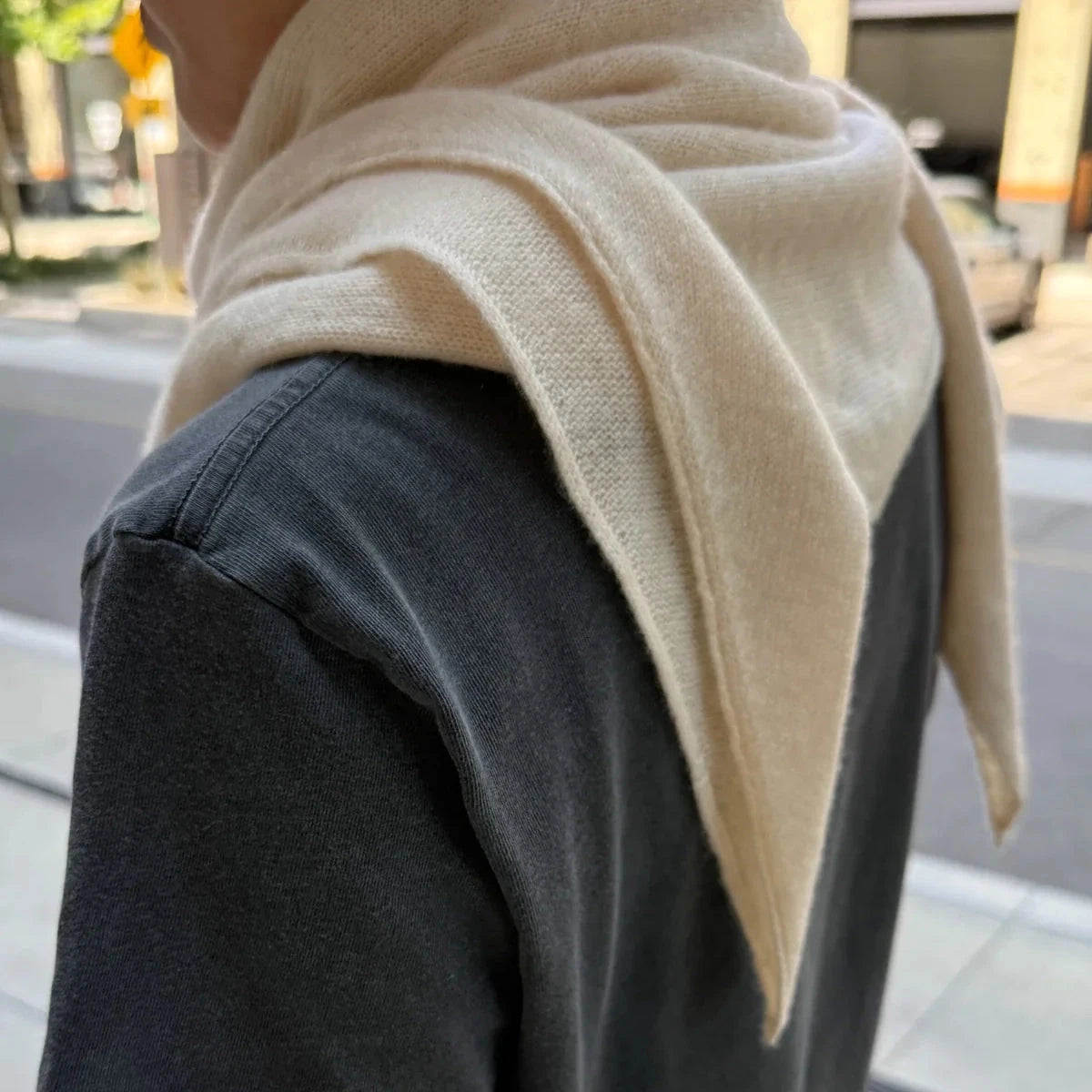Le Bon Shoppe | Cashmere Shawl Bristol General Store 