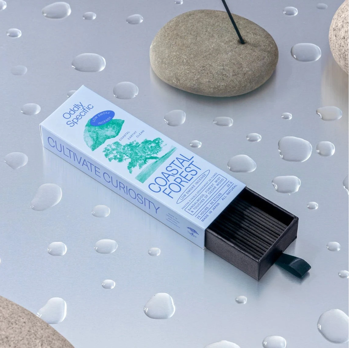 Oddly Specific | Coastal Forest Oddly Specific 