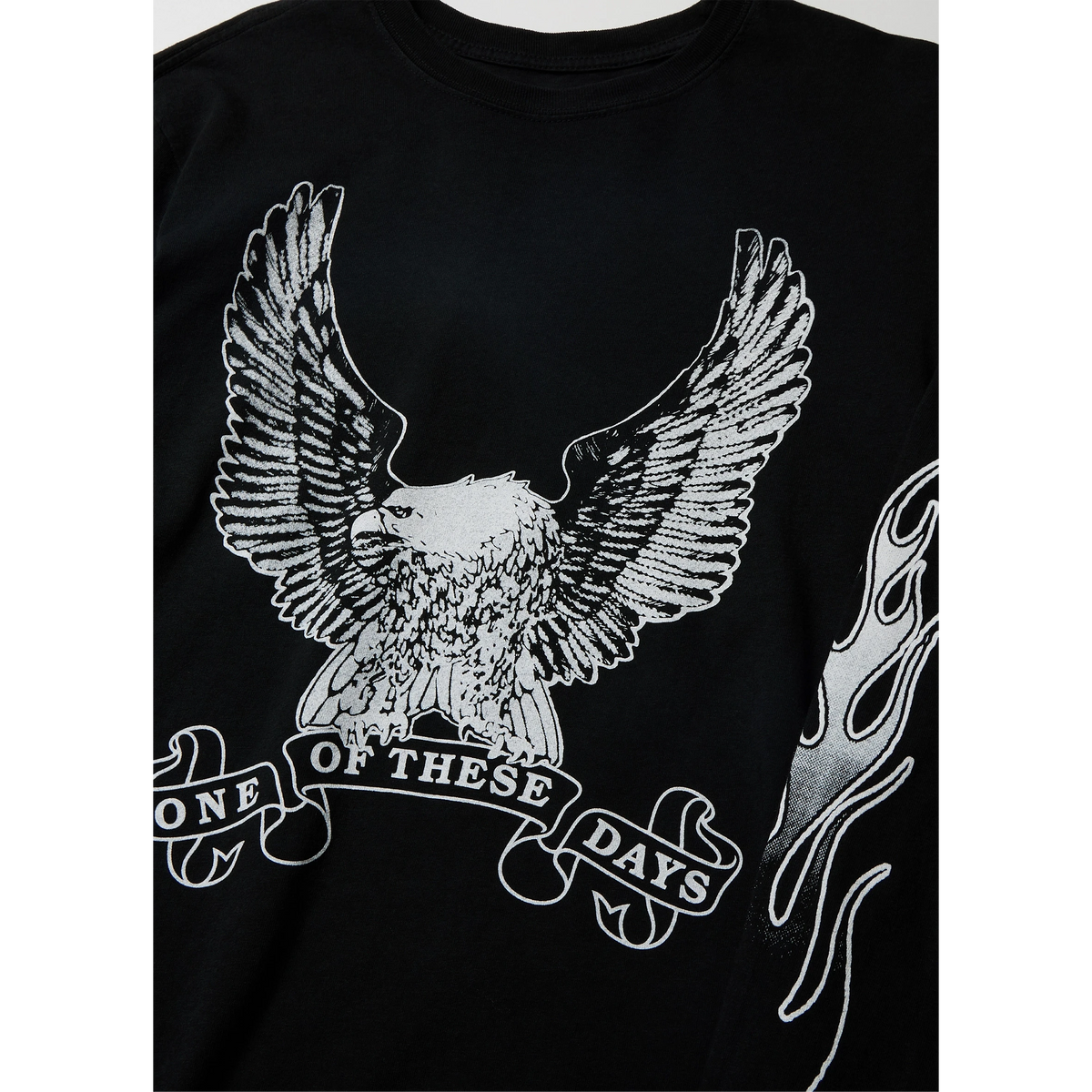 Original Long Sleeve T-Shirt One of These Days 