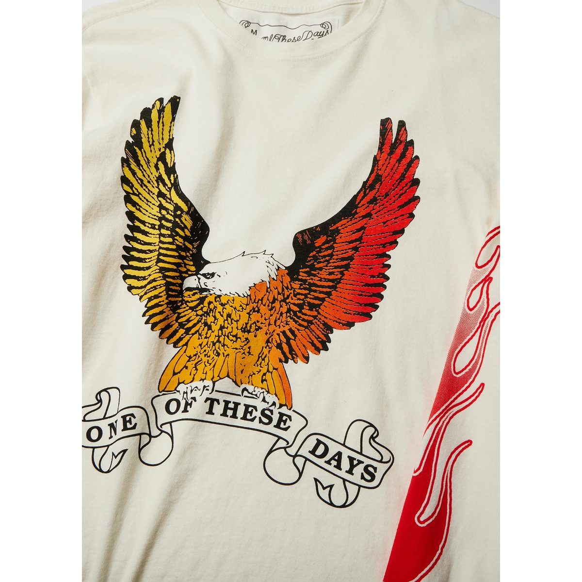 Original Long Sleeve T-Shirt One of These Days 