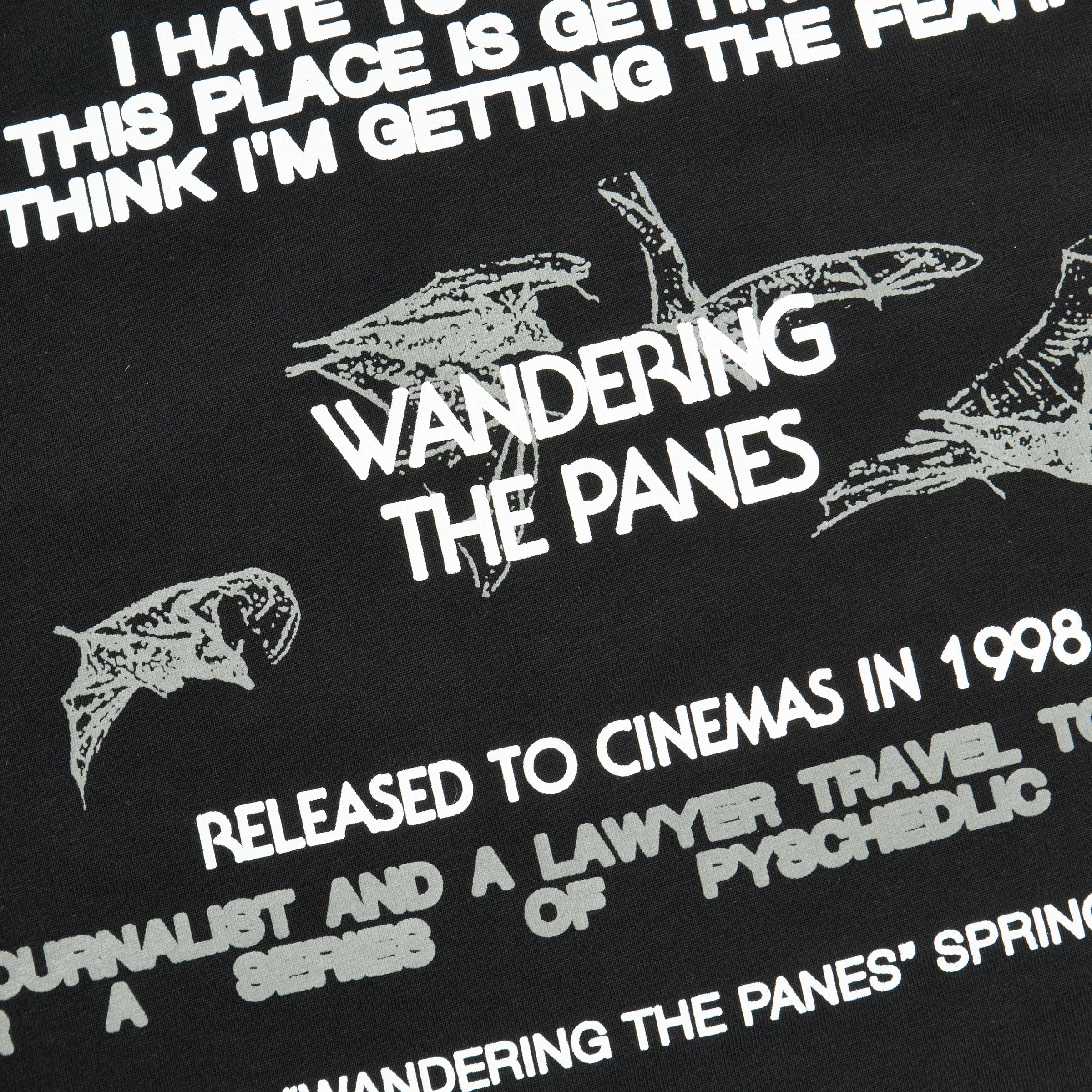 Wandering The Panes Longsleeve SCRT® 