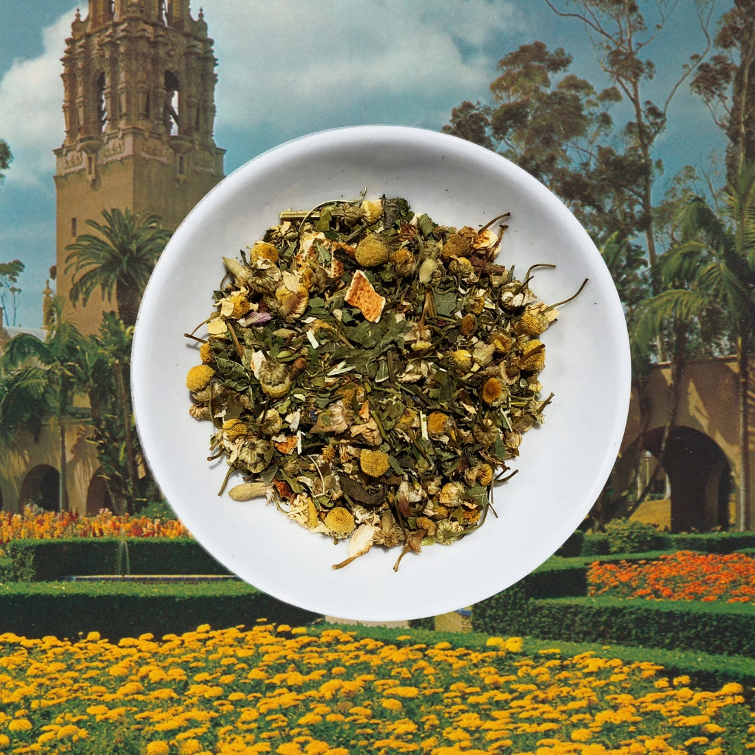 Flowerhead Tea - Chronic Wellness FLOWERHEAD TEA