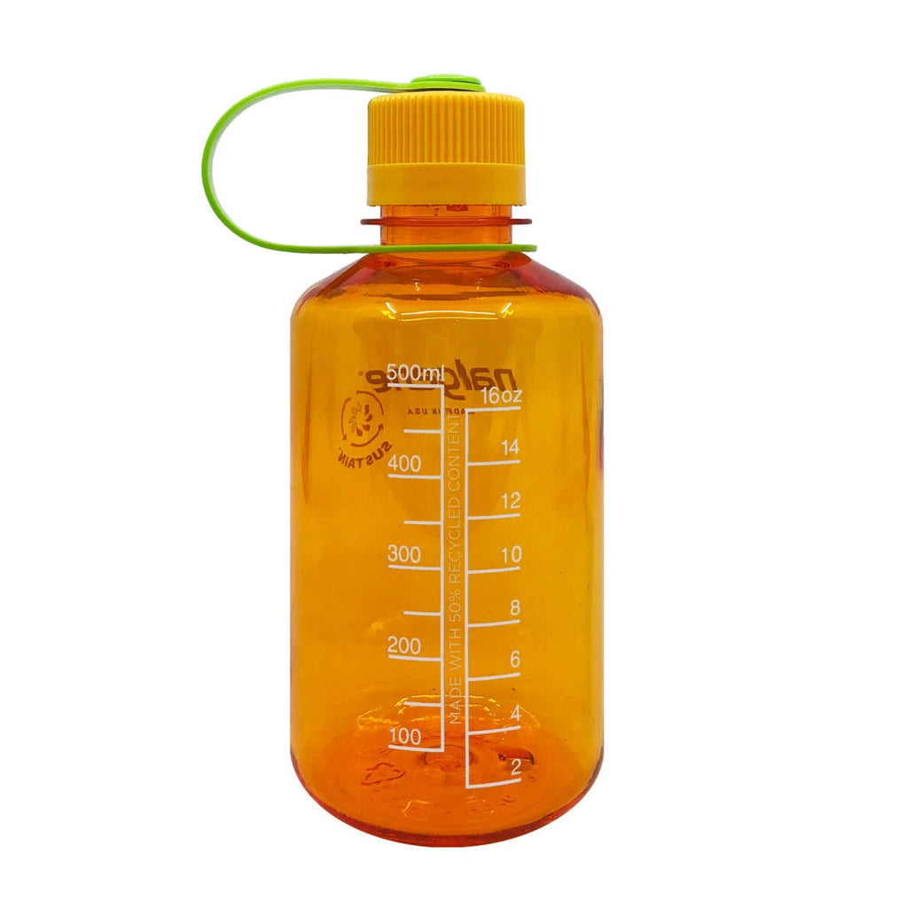 Nalgene | 0.5L / 16oz Narrow Mouth Sustain Water Bottle | Clementine NALGENE 
