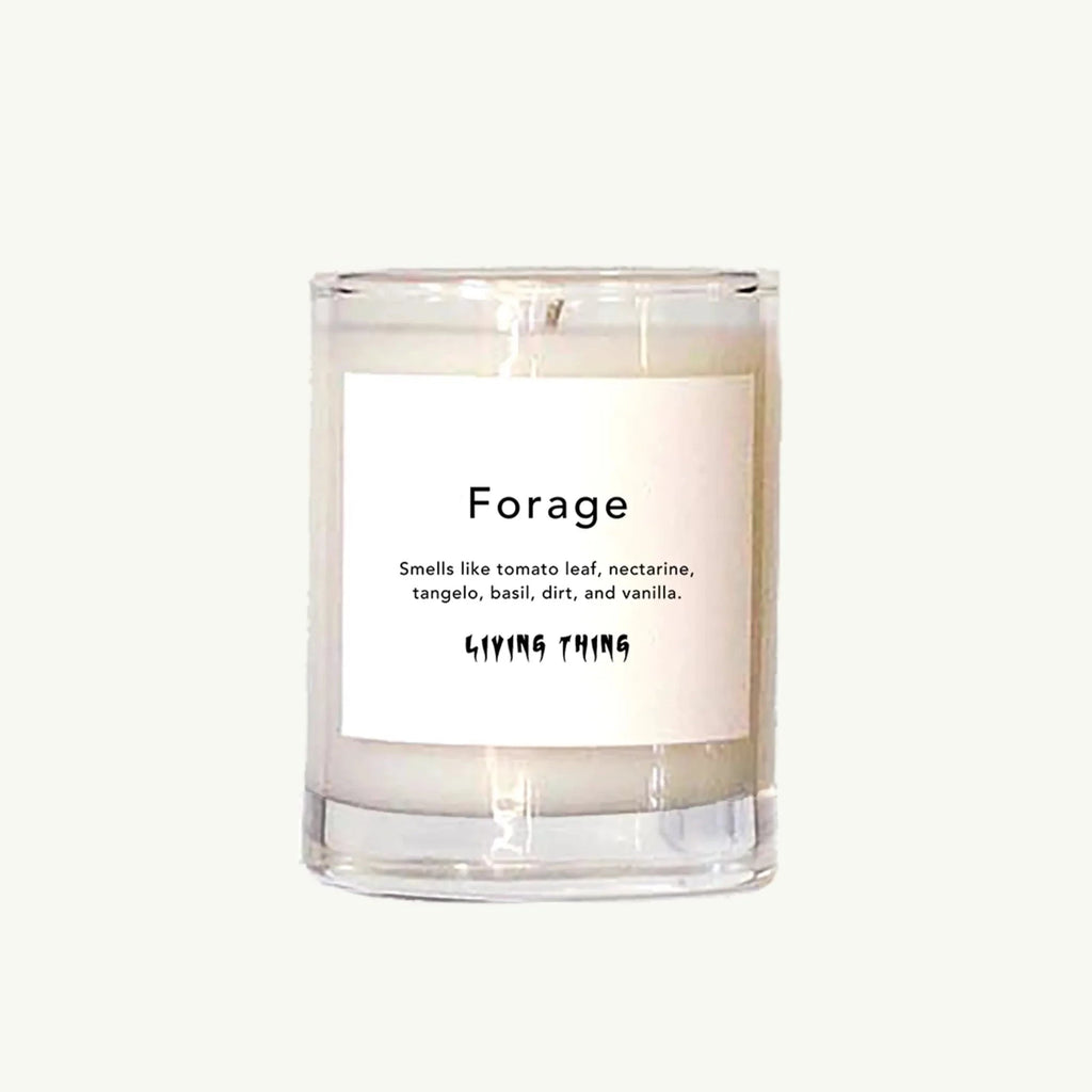 Votive Candle | FORAGE | tomato leaf, nectarine, tangelo, basil, dirt, vanilla Living Thing 